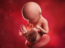 Nơi thai nhi cảm thấy ồn ào nhất và những địa điểm các mẹ nên tránh xa