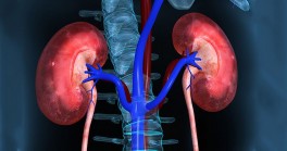 Đừng bỏ qua cơn đau vùng thượng vị, bạn có thể đã bị u gan