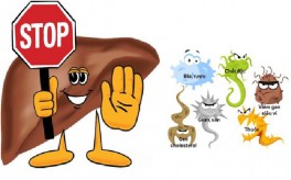 Men gan cao: nguyên nhân và cách phòng tránh